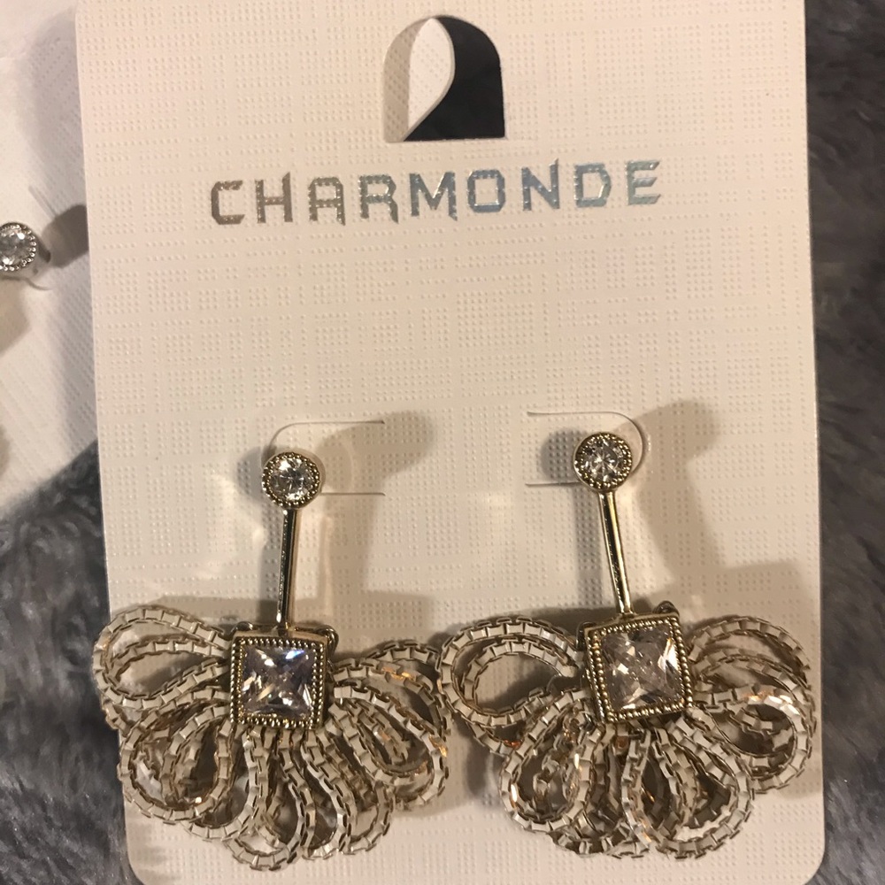 Earrings NWT
